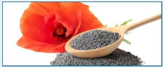 California Poppy (Poppy Seed)