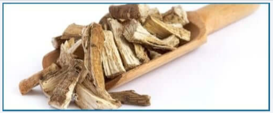 Marshmallow Root